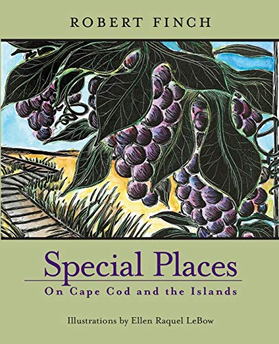 Beispielbild fr Special Places on Cape Cod and Islands zum Verkauf von Better World Books