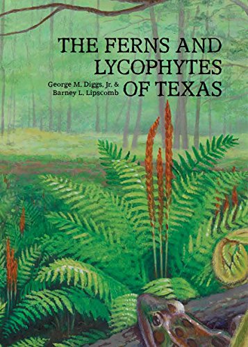 9781889878379: The Ferns & Lycophytes of Texas