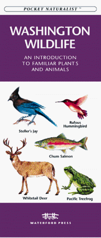 9781889903149: Washington Wildlife: An Introduction to Familiar Species