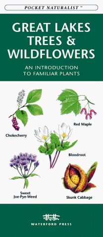 Great Lakes Trees & Wildflowers: An Introduction to Familiar Plants (Pocket Naturalist) (9781889903590) by [???]