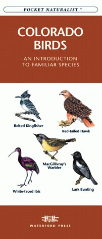 Colorado Birds: An Introduction to Familiar Species (Pocket Naturalist) (9781889903682) by James Kavanagh