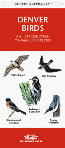 9781889903729: Denver: An Introduction to Familiar Species (Pocket Naturalist)