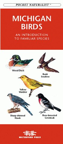 Michigan Birds: An Introduction to Familiar Species (Pocket Naturalist) (9781889903859) by [???]