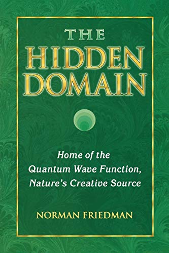 Beispielbild fr The Hidden Domain : Home of the Quantum Wave Function, Nature's Creative Source zum Verkauf von Better World Books
