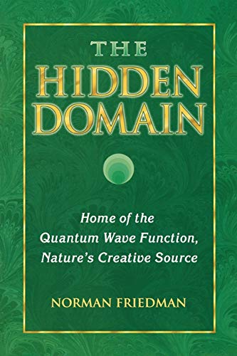 Stock image for Hidden Domain, The : Home of the Quantum Wave Function, Nature's Creative Source for sale by Monroe Street Books