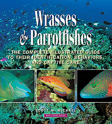 Beispielbild fr Wrasses and Parrotfishes : The Complete Illustrated Guide to their Identification, Behaviors, and Captive Care zum Verkauf von Better World Books