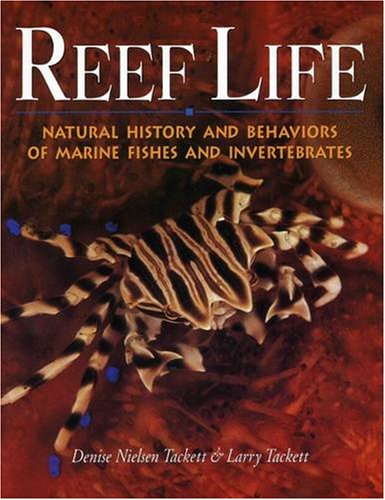 Beispielbild fr Reef Life zum Verkauf von WorldofBooks