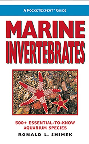 Stock image for A PocketExpert Guide to Marine Invertebrates for sale by Better World Books: West