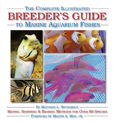 Stock image for The Complete Illustrated Breeder's Guide to Marine Aquarium Fishes for sale by Revaluation Books
