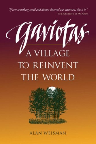 Stock image for Gaviotas: A Village to Reinvent the World for sale by Lowry's Books