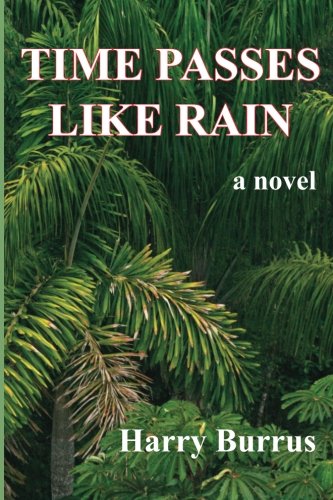 Imagen de archivo de Time Passes Like Rain, a novel a la venta por Revaluation Books