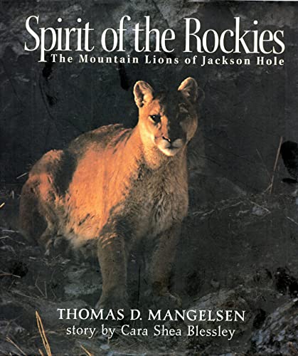 Stock image for Spirit of the Rockies : The Mountain Lions of Jackson Hole for sale by Better World Books: West