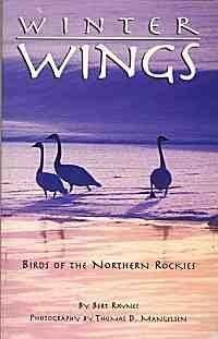 Stock image for Winter Wings; Birds of the Northern Rockies for sale by HPB-Emerald