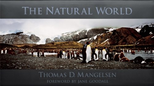 Stock image for The Natural World for sale by Books of the Smoky Mountains