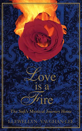 Beispielbild fr Love Is a Fire The Sufi's Mystical Journey Home zum Verkauf von PBShop.store US