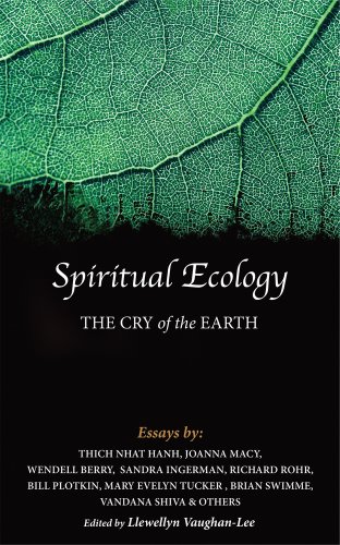 Imagen de archivo de Spiritual Ecology : The Cry of the Earth a la venta por Better World Books