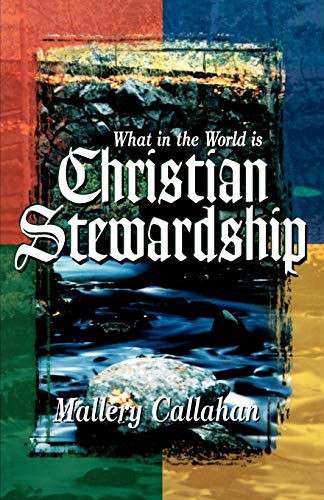 Stock image for What in the World is Christian Stewardship for sale by ThriftBooks-Dallas