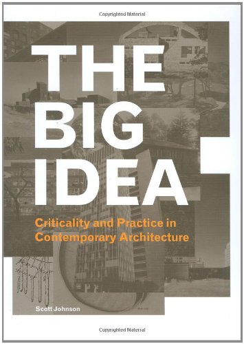 Stock image for The Big Idea: Criticality and Practice in Comtemporary Architecture for sale by Reuseabook