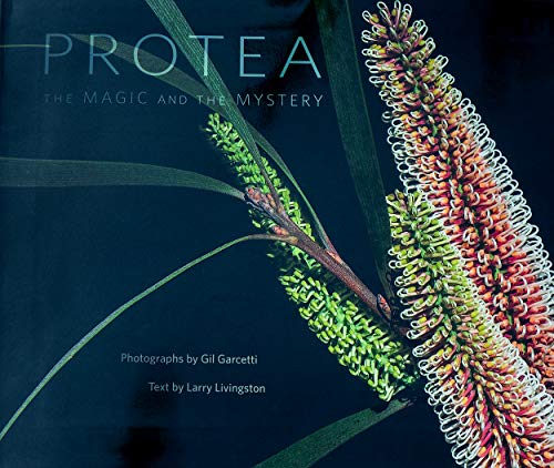 Beispielbild fr PROTEA: The Magic and the Mystery zum Verkauf von Books From California