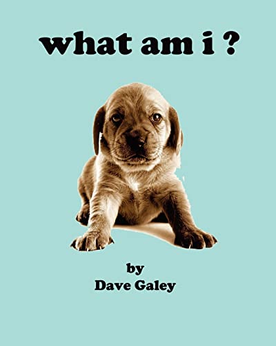 Stock image for what am i for sale by THE SAINT BOOKSTORE