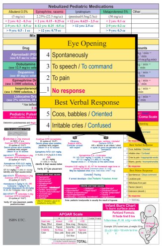 Pediatric Drug Chart (9781890495343) by Informed