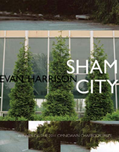 Imagen de archivo de Sham City a la venta por Blackwell's