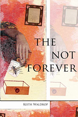 Stock image for The Not Forever for sale by Half Price Books Inc.