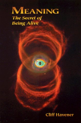 Beispielbild fr Meaning : The Secret of Being Alive zum Verkauf von Robinson Street Books, IOBA