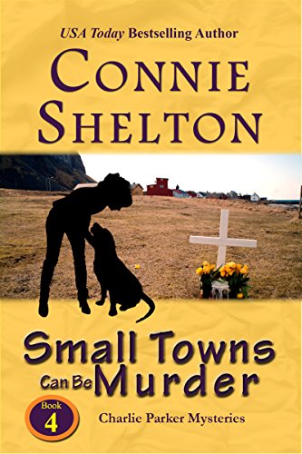 9781890768058: Small Towns Can Be Murder (Charlie Parker Mysteries)