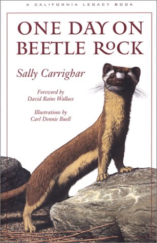 Beispielbild fr One Day on Beetle Rock (California Legacy Book) zum Verkauf von Decluttr