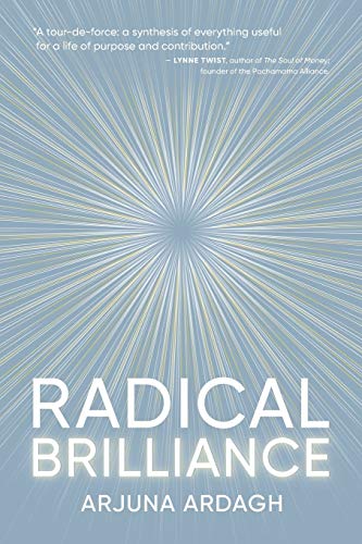 Stock image for Radical Brilliance: The Anatomy of How and Why People Have Original Life-Changing Ideas for sale by Jenson Books Inc