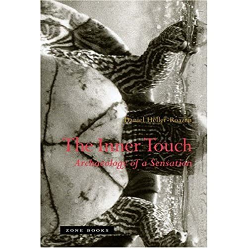 Stock image for The Inner Touch : Archaeology of a Sensation for sale by Better World Books