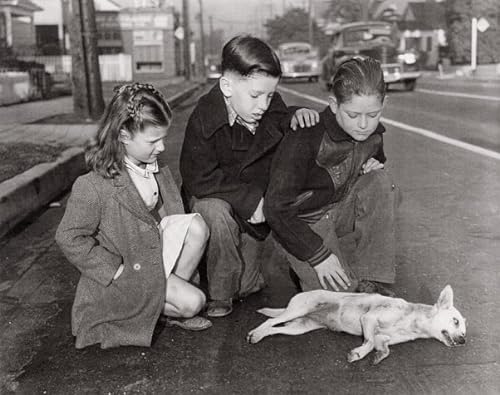 Imagen de archivo de Local News : Tabloid Pictures from the Los Angeles Herald Express 1936 to 1961 a la venta por Better World Books: West