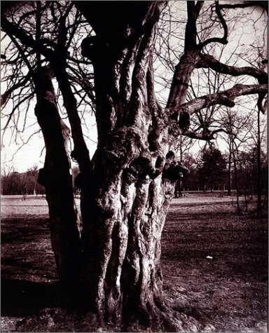 9781891024672: Eugene Atget's Trees: Newly Discovered Photographs from the Bibliotheque Nationale De France: Newly Discovered Photographs from the Biblioteque Nationale De France