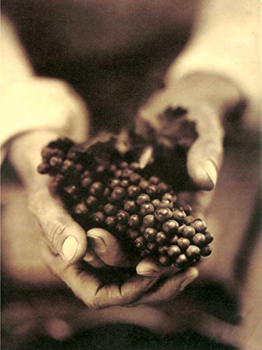Imagen de archivo de Wine, Food & the Arts, Volume I a la venta por Housing Works Online Bookstore