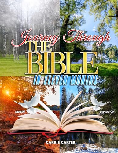 Stock image for Journey Through the Bible in Eleven Months for sale by GreatBookPrices