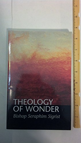Stock image for Theology of Wonder for sale by BooksRun
