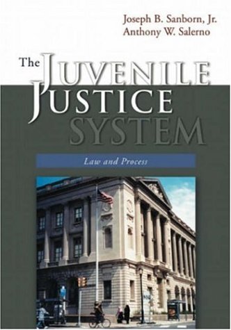9781891487958: The Juvenile Justice System: Law and Process