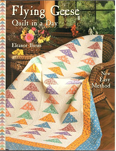 9781891776052: Flying Geese Quilt in a Day