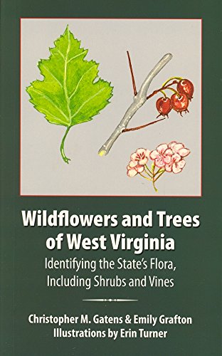 Beispielbild fr Wildflowers and Trees of West Virginia zum Verkauf von Irish Booksellers