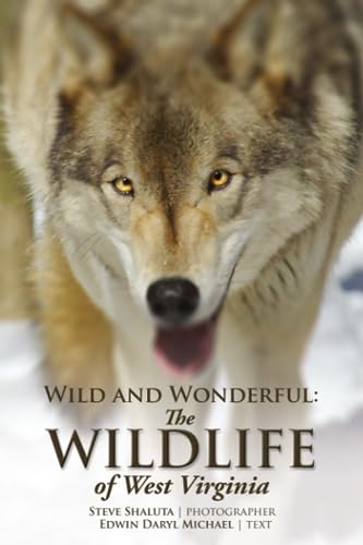 Stock image for Wild and Wonderful: The Wildlife of West Virginia for sale by ZBK Books