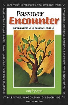 Beispielbild fr Passover Encounter: Experiencing Your Personal Exodus zum Verkauf von HPB-Ruby