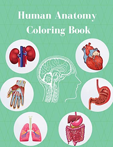 Stock image for Human Anatomy Coloring Book: Anatomy And Physiology Illustration For Teens And Adults for sale by Revaluation Books