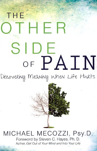 Imagen de archivo de The Other Side of Pain: Discovering Meaning When Life Hurts a la venta por -OnTimeBooks-