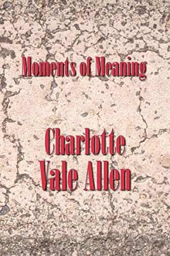 9781892738004: Moments of Meaning