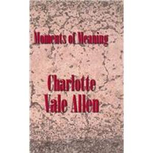 Moments of Meaning (9781892738158) by Allen, Charlotte Vale