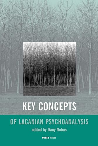 Key Concepts of Lacanian Psychoanalysis - Nobus, Dany