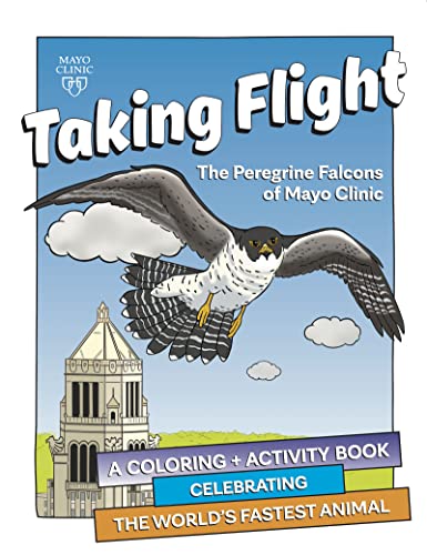 

Taking Flight The Peregrine Fa