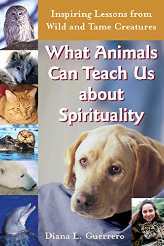 Imagen de archivo de What Animals Can Teach Us About Spirituality: Inspiring Lessons from Wild and Tame Creatures a la venta por SecondSale