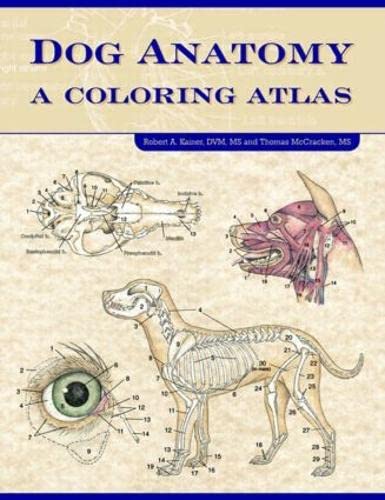 9781893441170: Dog Anatomy: A Coloring Atlas